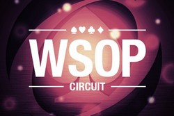 WSOP 2014 Доминик Ницше